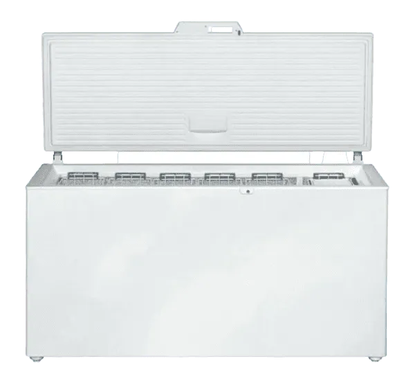 Заправка фреоном Liebherr GT 4756