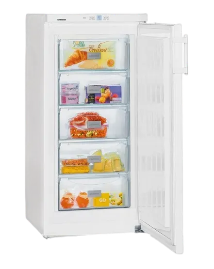 Заправка фреоном Liebherr GNP 1913