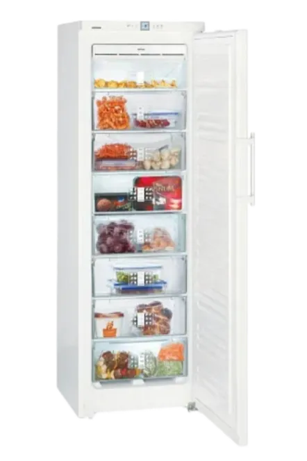 Заправка фреоном Liebherr GNP 3255